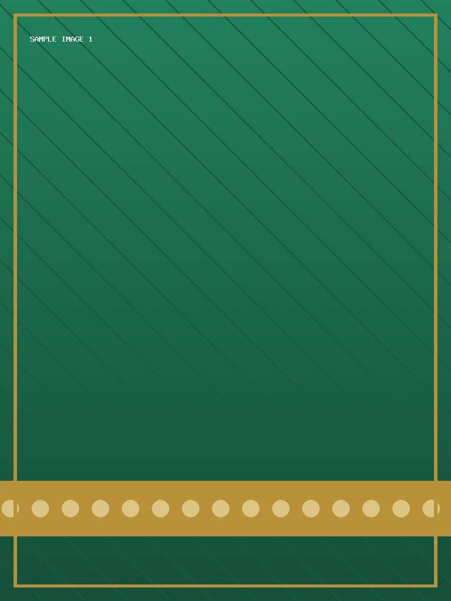 Sample Traditional Occasion Saree — sample image 1